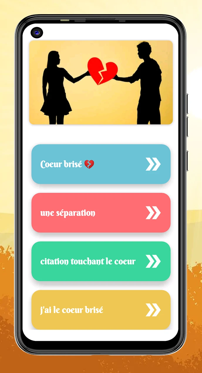 Citations Triste & Proverbes screenshot