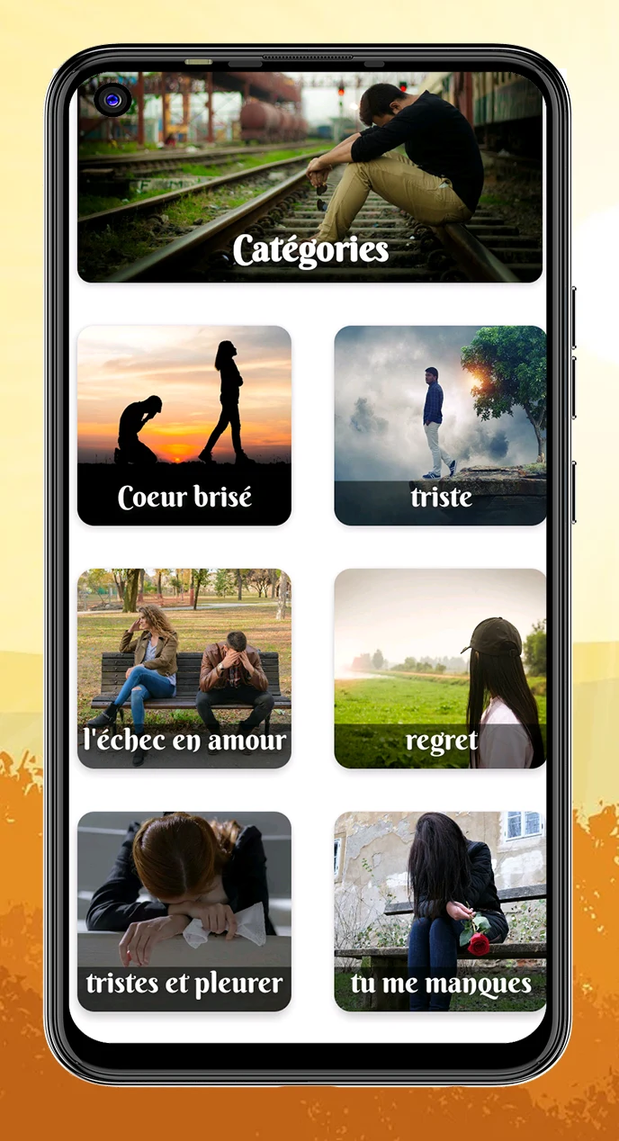 Citations Triste & Proverbes screenshot
